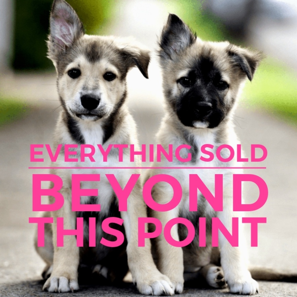 💥Everything sold beyond this point 💥